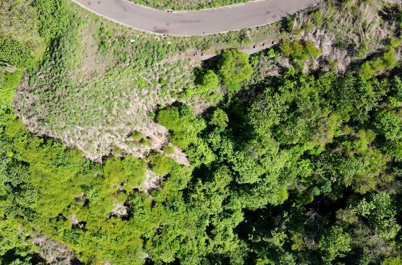 Pacifico Lots 73 & 74 Playas del Coco: Prime Lots in Playas del Coco