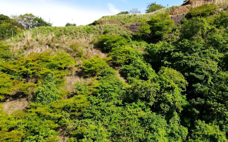 Pacifico Lots 73 & 74 Playas del Coco: Prime Lots in Playas del Coco