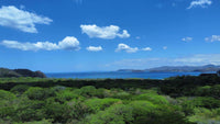 5.67 Hectares near Puerto Viejo Beach 2 min drive to the beach!!: Vast Coastal Acres Near Puerto Viejo Beach thumbnail