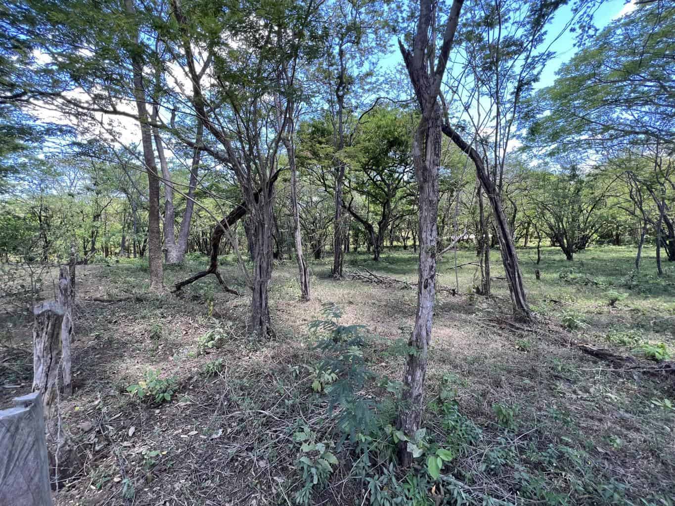 5.67 Hectares near Puerto Viejo Beach 2 min drive to the beach!!: Vast Coastal Acres Near Puerto Viejo Beach