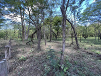 5.67 Hectares near Puerto Viejo Beach 2 min drive to the beach!!: Vast Coastal Acres Near Puerto Viejo Beach thumbnail