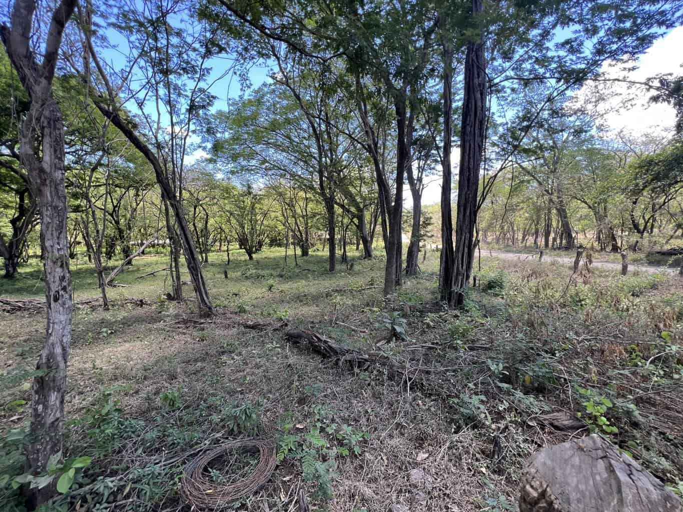 5.67 Hectares near Puerto Viejo Beach 2 min drive to the beach!!: Vast Coastal Acres Near Puerto Viejo Beach