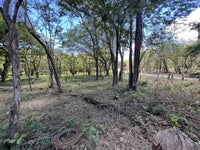 5.67 Hectares near Puerto Viejo Beach 2 min drive to the beach!!: Vast Coastal Acres Near Puerto Viejo Beach thumbnail