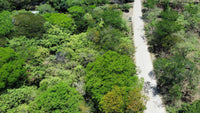 5.67 Hectares near Puerto Viejo Beach 2 min drive to the beach!!: Vast Coastal Acres Near Puerto Viejo Beach thumbnail