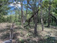 5.67 Hectares near Puerto Viejo Beach 2 min drive to the beach!!: Vast Coastal Acres Near Puerto Viejo Beach thumbnail