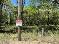 5.67 Hectares near Puerto Viejo Beach 2 min drive to the beach!!: Vast Coastal Acres Near Puerto Viejo Beach thumbnail