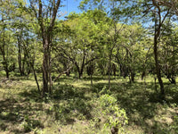 5.67 Hectares near Puerto Viejo Beach 2 min drive to the beach!!: Vast Coastal Acres Near Puerto Viejo Beach thumbnail
