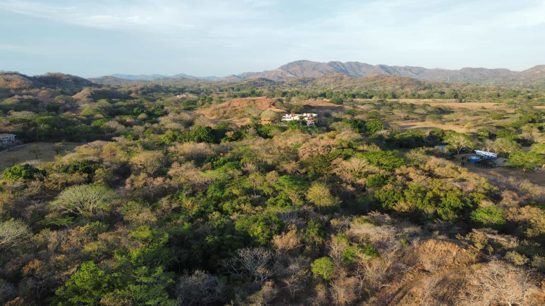 Oceanview Vacant 2117m2 Lot in Salinitas, minutes away from Playa Grande: Ocean Views in Salinitas