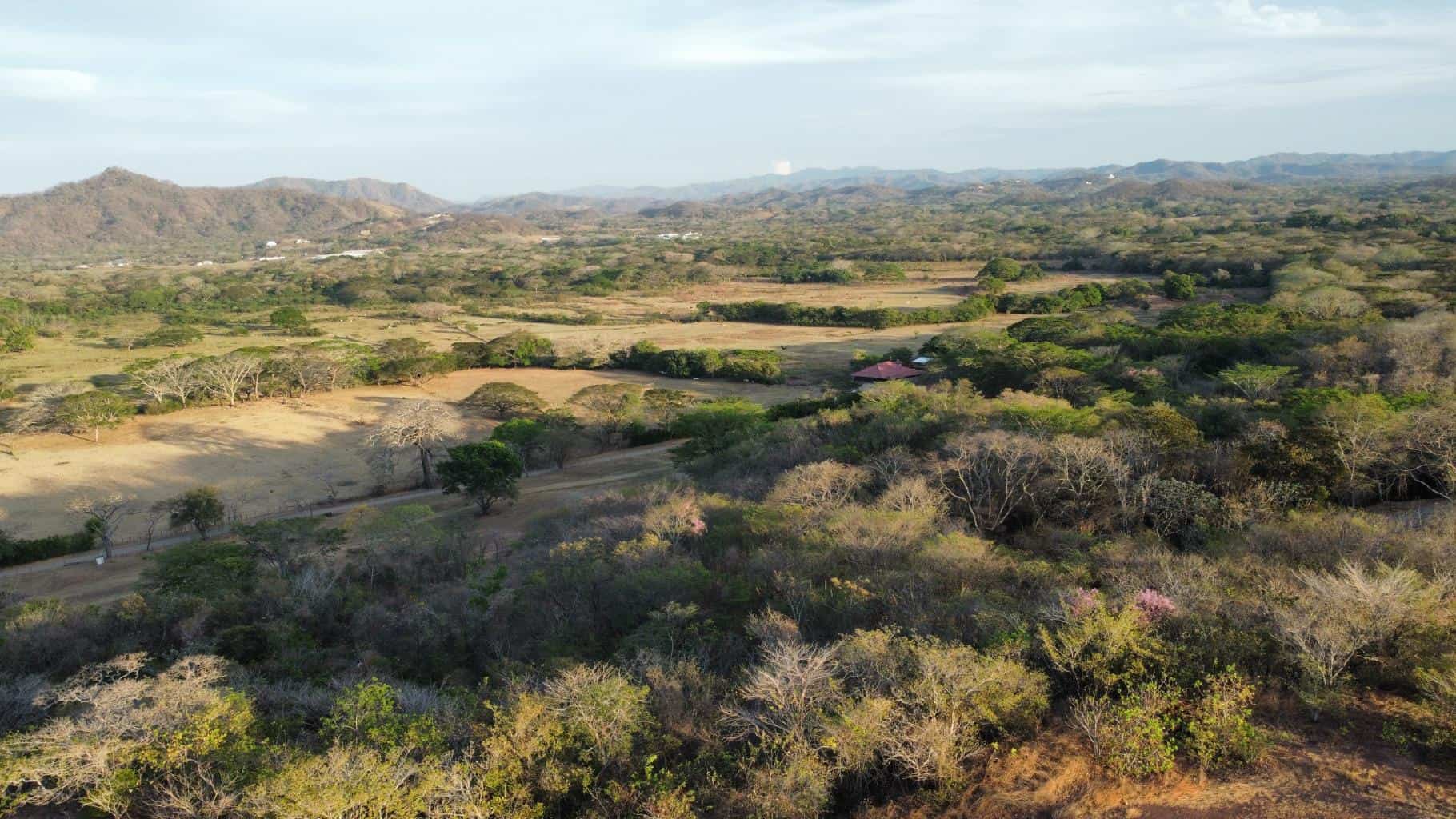 Oceanview Vacant 2117m2 Lot in Salinitas, minutes away from Playa Grande: Ocean Views in Salinitas