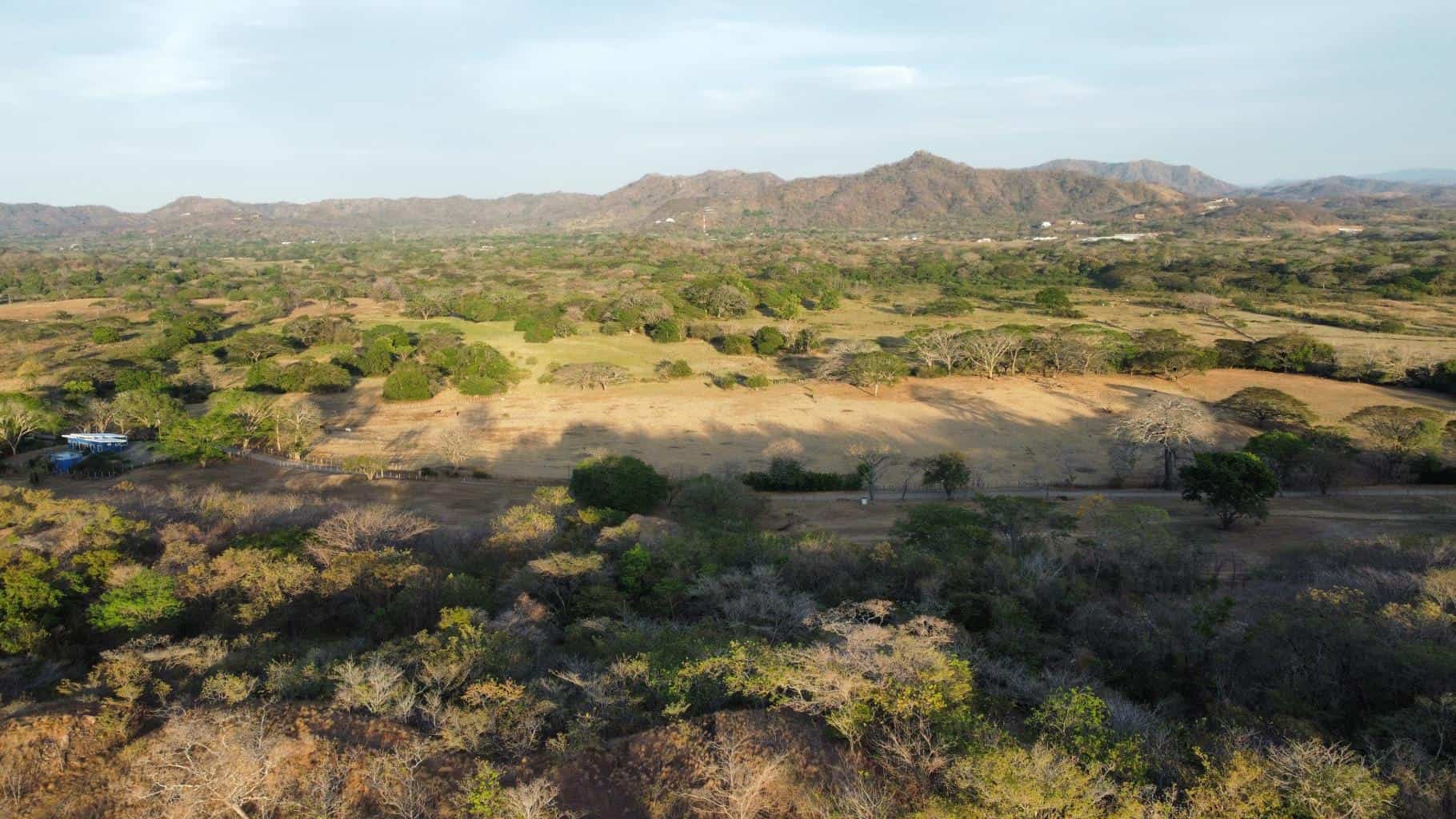 Oceanview Vacant 2117m2 Lot in Salinitas, minutes away from Playa Grande: Ocean Views in Salinitas