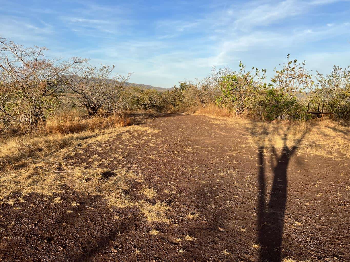 Oceanview Vacant 2117m2 Lot in Salinitas, minutes away from Playa Grande: Ocean Views in Salinitas