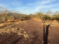 Oceanview Vacant 2117m2 Lot in Salinitas, minutes away from Playa Grande: Ocean Views in Salinitas thumbnail