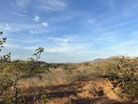 Oceanview Vacant 2117m2 Lot in Salinitas, minutes away from Playa Grande: Ocean Views in Salinitas thumbnail