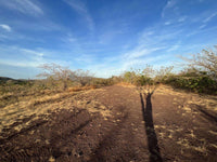 Oceanview Vacant 2117m2 Lot in Salinitas, minutes away from Playa Grande: Ocean Views in Salinitas thumbnail