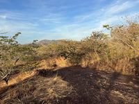 Oceanview Vacant 2117m2 Lot in Salinitas, minutes away from Playa Grande: Ocean Views in Salinitas thumbnail