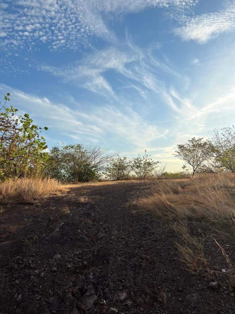 Oceanview Vacant 2117m2 Lot in Salinitas, minutes away from Playa Grande: Ocean Views in Salinitas