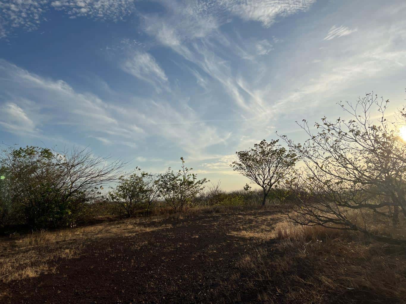 Oceanview Vacant 2117m2 Lot in Salinitas, minutes away from Playa Grande: Ocean Views in Salinitas