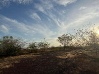 Oceanview Vacant 2117m2 Lot in Salinitas, minutes away from Playa Grande: Ocean Views in Salinitas thumbnail