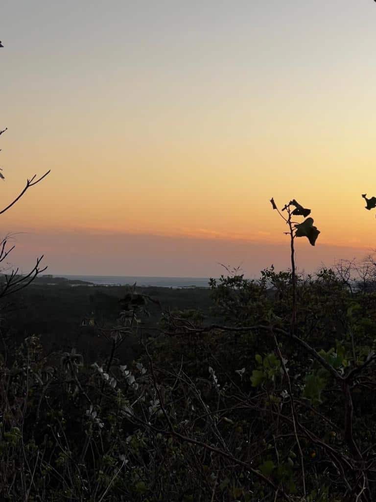 Oceanview Vacant 2117m2 Lot in Salinitas, minutes away from Playa Grande: Ocean Views in Salinitas