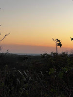 Oceanview Vacant 2117m2 Lot in Salinitas, minutes away from Playa Grande: Ocean Views in Salinitas thumbnail