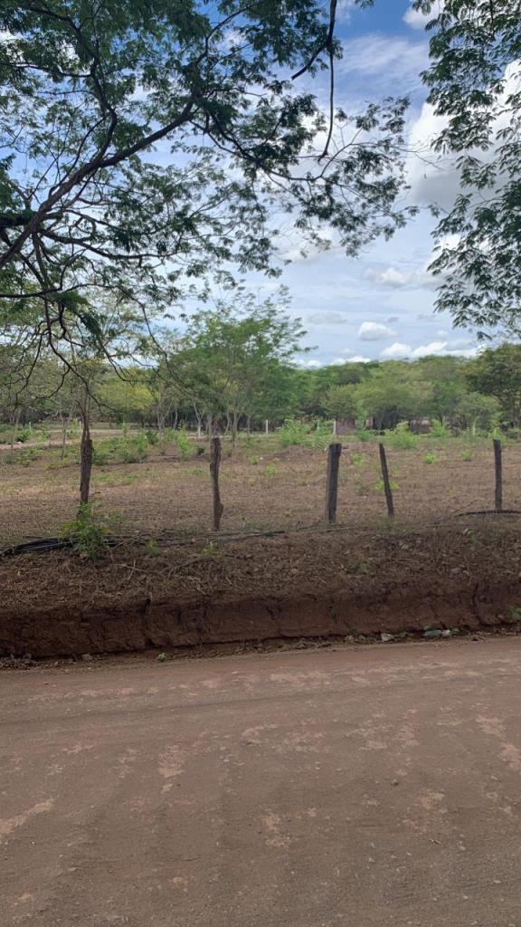 Lot 5 – Matapalo Springs
