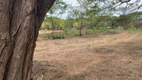 Lot 6 – Matapalo Springs thumbnail