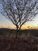 Oceanview Vacant 2117m2 Lot in Salinitas, minutes away from Playa Grande: Ocean Views in Salinitas thumbnail