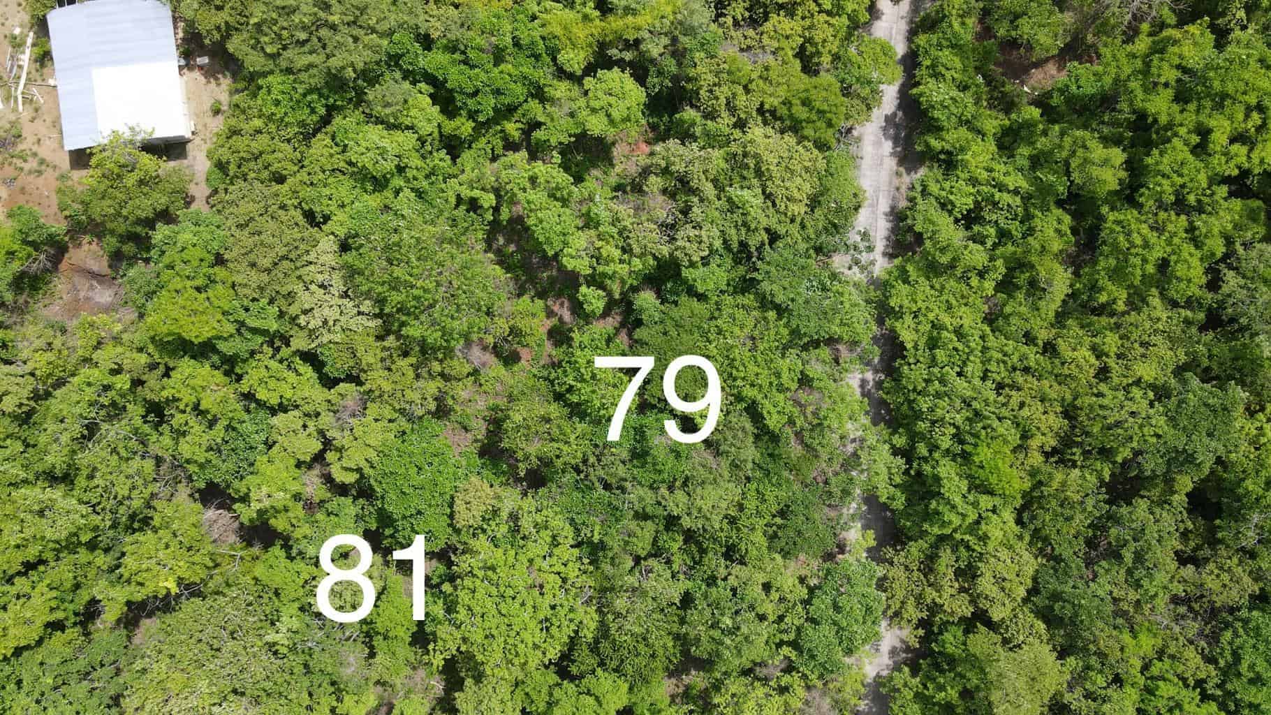 2 Lots At A Great Price! Oceanview! Ranchos Las Colinas, Salinitas, 8 minute drive to Playa Grande: Double the Oceanview Delight
