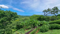 Casa Alto in San Jose de Pinilla: Elevated Living in San Jose de Pinilla thumbnail