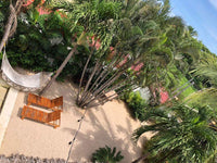 Pizzeria La Baula: Great Business Opportunity with a Famous Tamarindo Restaurant thumbnail