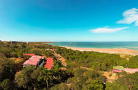 One of a Kind Beach Hotel: Your Unique Beachfront Hotel in the Most Popular Beach Town thumbnail