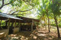 Florida Del Pacifico: Ocean View Plantation Living in Tamarindo thumbnail