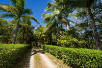 Florida Del Pacifico: Ocean View Plantation Living in Tamarindo thumbnail