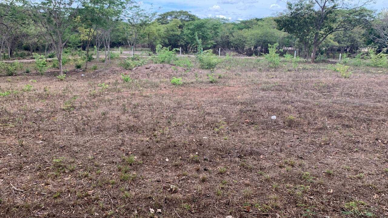 Lot 5 – Matapalo Springs