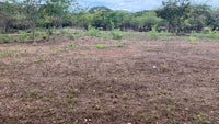 Lot 5 – Matapalo Springs thumbnail