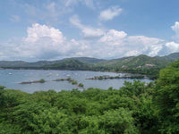 Flamingo Marina Lot thumbnail