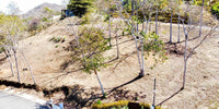Best Deal on an Ocean View Lot in Ventanas de Playa Grande: Prime Ocean View Living thumbnail