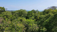 Senderos 13F Collection Home - Tree Top Retreat: Canopy Living in Senderos thumbnail