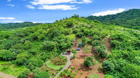 Casa Tropical: Experience Tranquil Living in Paradise! thumbnail
