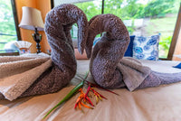 Casa Tropical: Experience Tranquil Living in Paradise! thumbnail