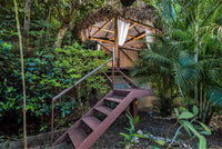 Casa Isani, Spectacular Property Perched in the Jungle!: Jungle Retreat at Casa Isani thumbnail