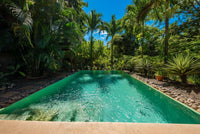 Casa Isani, Spectacular Property Perched in the Jungle!: Jungle Retreat at Casa Isani thumbnail