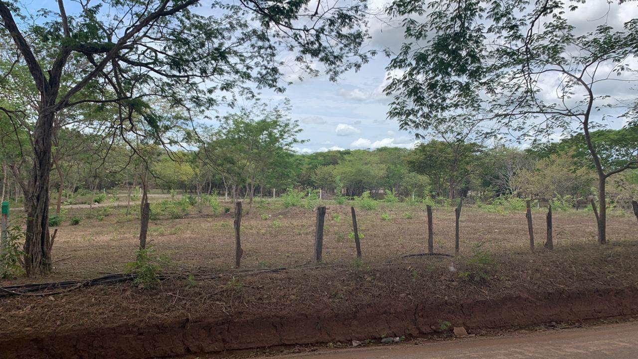 Lot 5 – Matapalo Springs