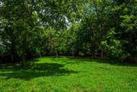 Tamarindo Park Hilltop Lot #14 | Walkable Distance to the Beach!: Hilltop Living Near Tamarindo Beach thumbnail