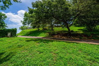 Tamarindo Park Hilltop Lot #14 | Walkable Distance to the Beach!: Hilltop Living Near Tamarindo Beach thumbnail