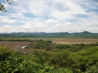 Agricultural Investor Opportunity thumbnail