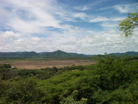 Agricultural Investor Opportunity thumbnail
