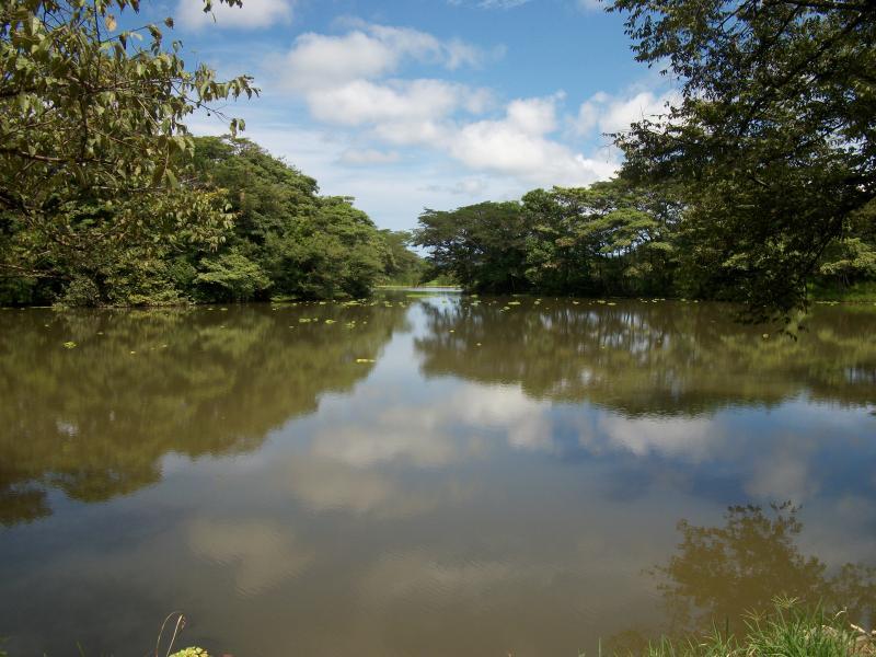 Agricultural Investor Opportunity