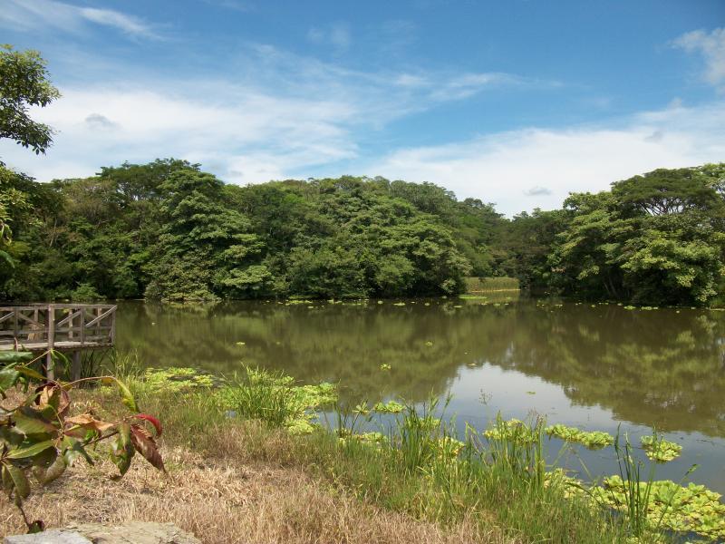 Agricultural Investor Opportunity