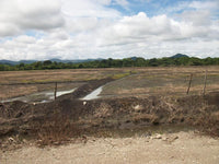 Agricultural Investor Opportunity thumbnail